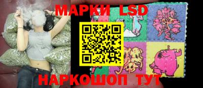 стаф Краснодар