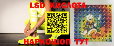 эйфоретик Краснознаменск