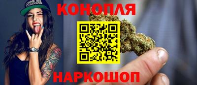 стаф Краснодар