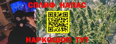 стаф Краснодар