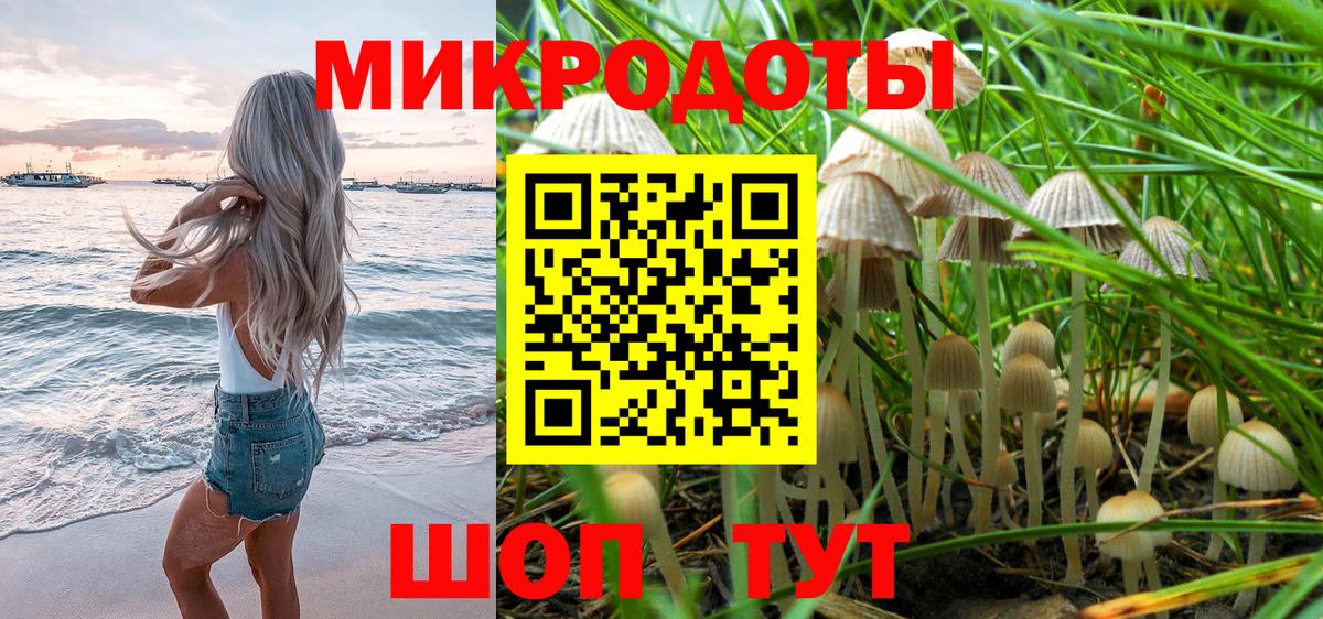 Галлюциногенные грибы Psilocybe  Вход с VPN  Красноармейск 