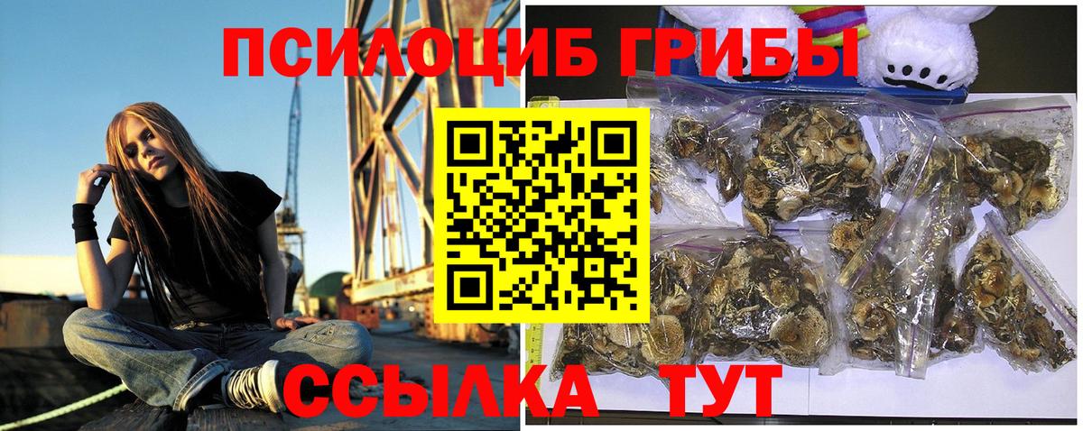 Псилоцибиновые грибы Cubensis Красноармейск